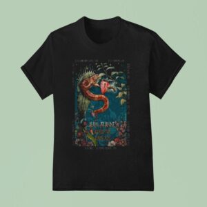 Alain Johannes Acoustic Tour Europe T Shirt