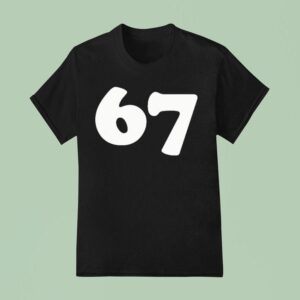 Aritzia T Shirt