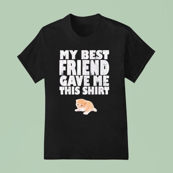 Cat My Best Friend Gave Me This T Shirt