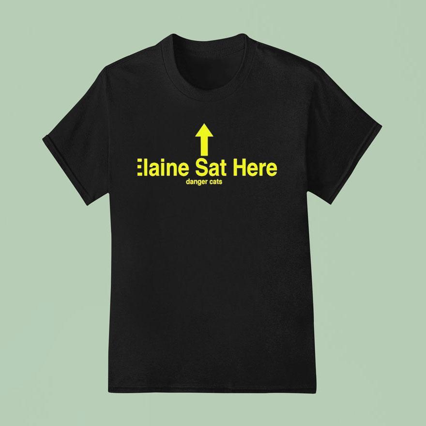 Elaine Sat Here Danger Cats T Shirt