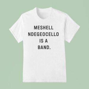 Meshell Ndegeocello Is A Band T Shirt