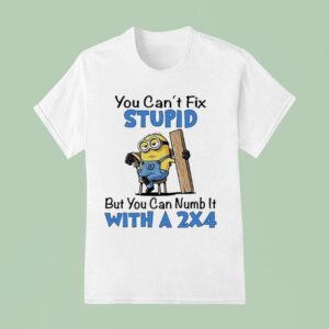 Minion You Can T Fix Stupid But You Can Numb It With A T Shirt