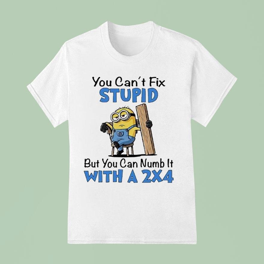 Minion You Can T Fix Stupid But You Can Numb It With A T Shirt