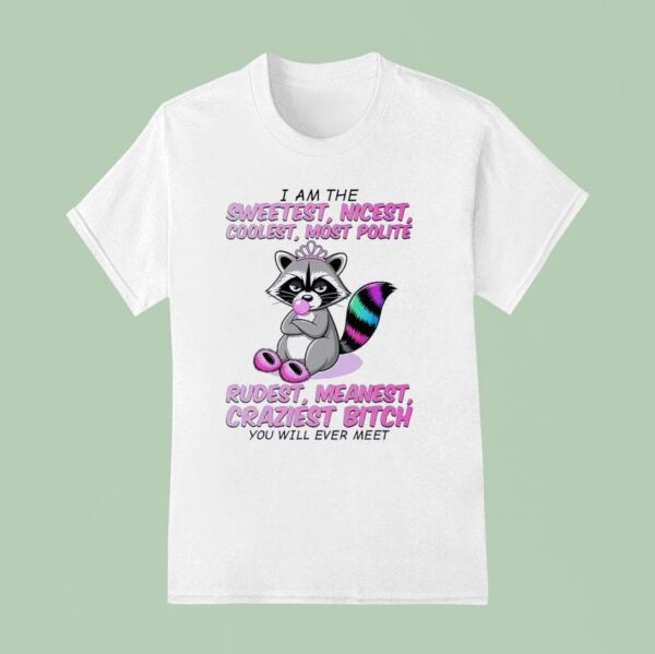 Raccoon I Am The Sweetest Nicest Coolest Most Polite Rudest Meanest Craziest Btch You Will Ever Mee T Shirt
