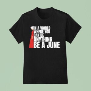 The Handmaid S Tale In A World Where You Can Be Anything Be A June T Shirt