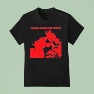 The Pains Of Being Pure At Heart Bazooka Fes T Shirt