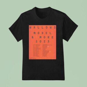 Wallows Model And More Tour T Shirt