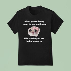 When You Re Being Mean To Me Just Know This Is Who You Are Being Mean To T Shirt