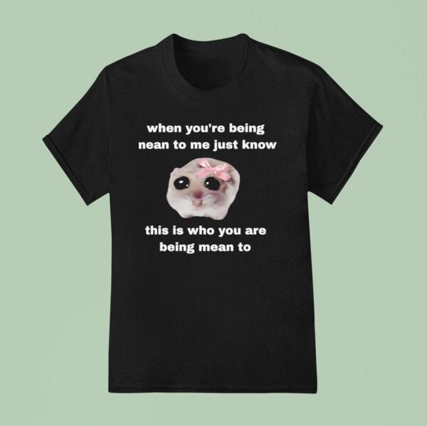When You Re Being Mean To Me Just Know This Is Who You Are Being Mean To T Shirt