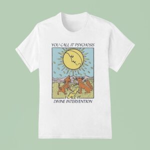 You Call It Psychosis I Call It Divine Intervention T Shirt