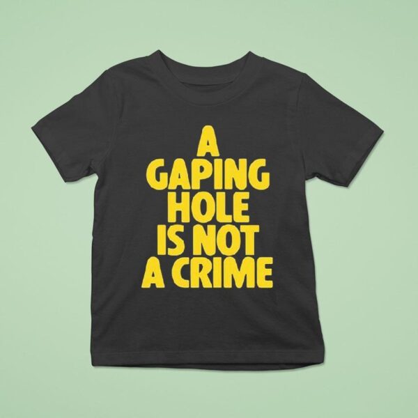 A Gaping Hole Is Not A Crime T Shirt