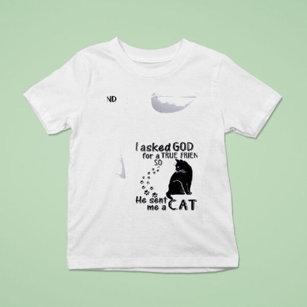 Cats I Asked God For A True Friend So He Sent Me A Ca T Shirt