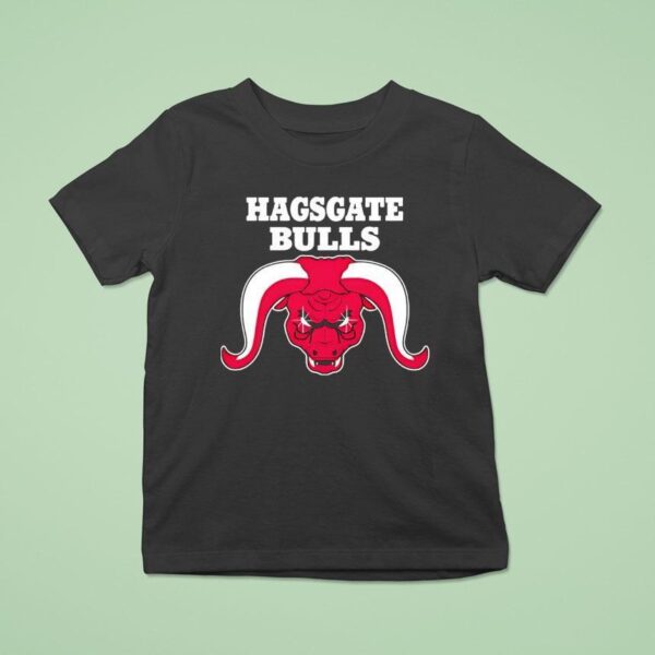 Hagsgate Bulls Style Chicago Bulls T Shirt