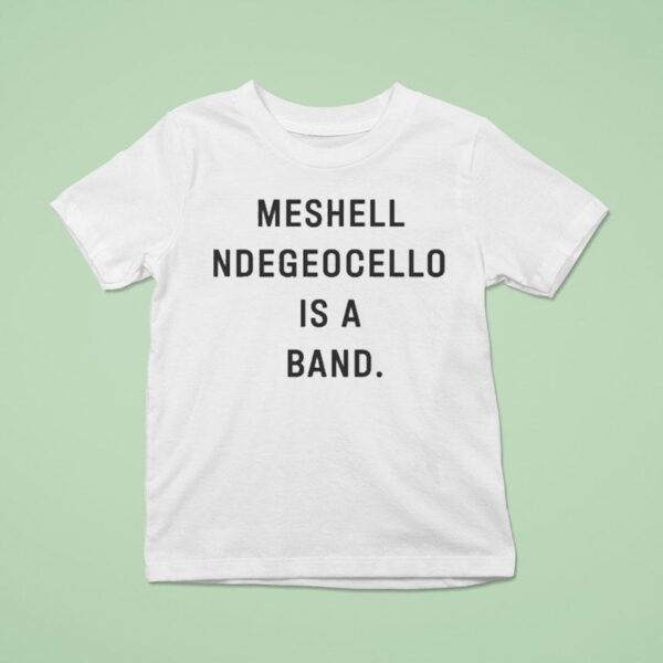 Meshell Ndegeocello Is A Band T Shirt