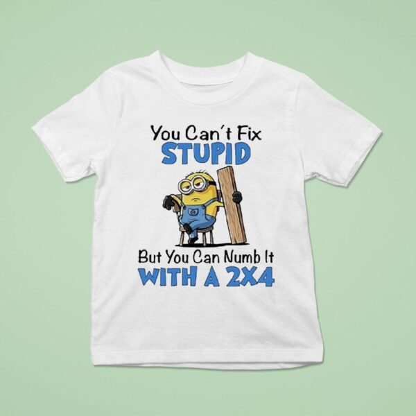 Minion You Can T Fix Stupid But You Can Numb It With A T Shirt