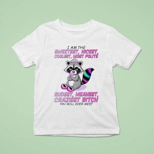Raccoon I Am The Sweetest Nicest Coolest Most Polite Rudest Meanest Craziest Btch You Will Ever Mee T Shirt