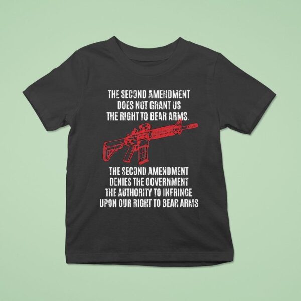 The Second Amendment Does Not Grant Us The Right To Bear T Shirt