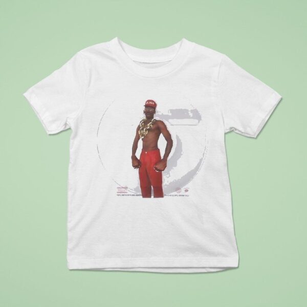 Tyler The Creators Don T Tap The Glass Cd T Shirt
