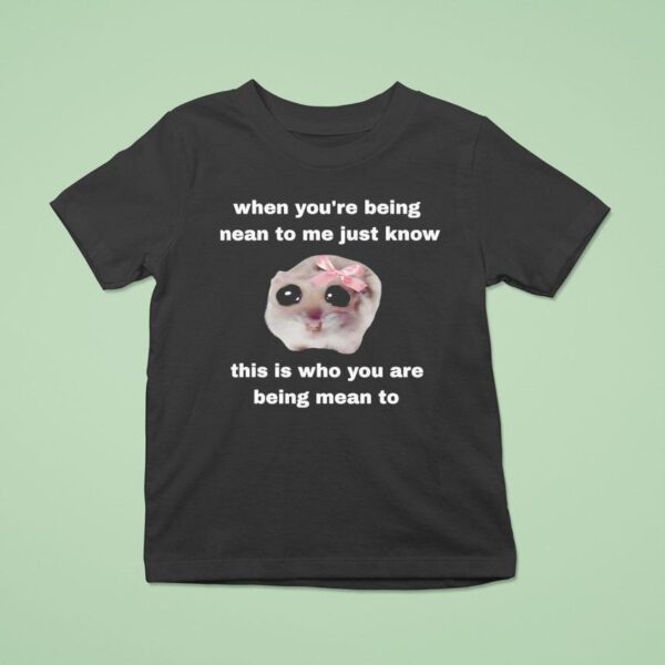 When You Re Being Mean To Me Just Know This Is Who You Are Being Mean To T Shirt