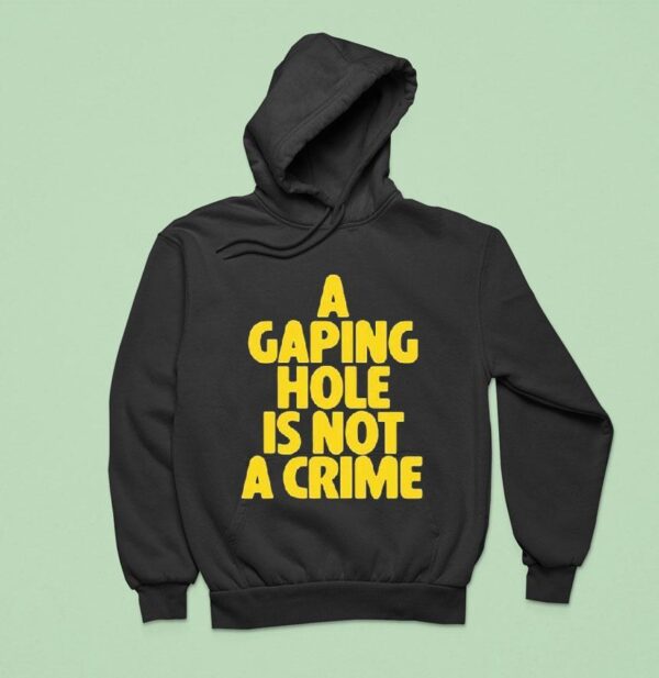 A Gaping Hole Is Not A Crime Hoodie