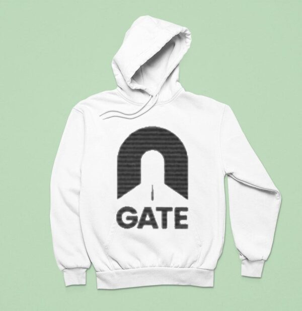 Abiotic Factor Non Standard Gate Hoodie