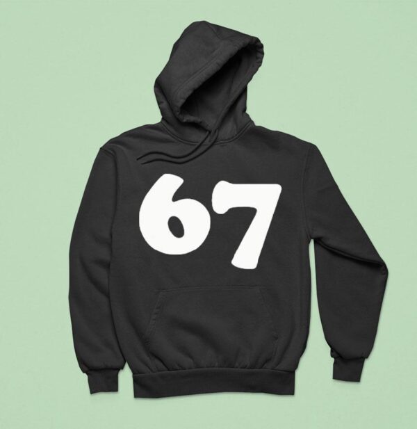 Aritzia Hoodie
