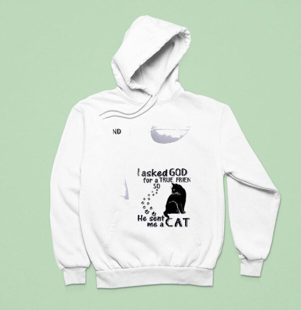 Cats I Asked God For A True Friend So He Sent Me A Ca Hoodie
