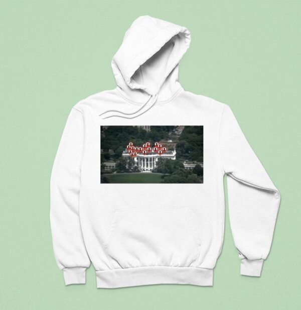 Coffeezilla Democratic Party Kendrick Lamar They Not Like Us Hoodie