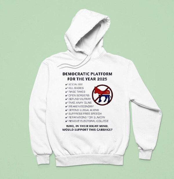 Democratic Platform For The Year Socialism Hoodie