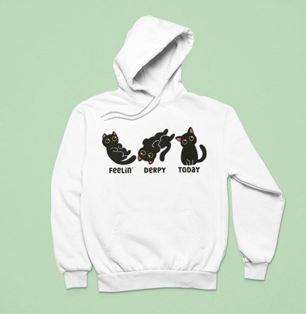 Feelin Derpy Today Fdt Black Ca Hoodie