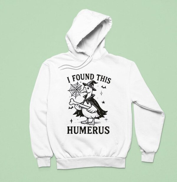 Goose Witch I Found This Humerus Halloween Hoodie