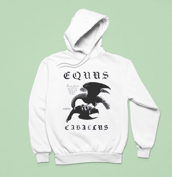 Horses Horses In Latin Hoodie
