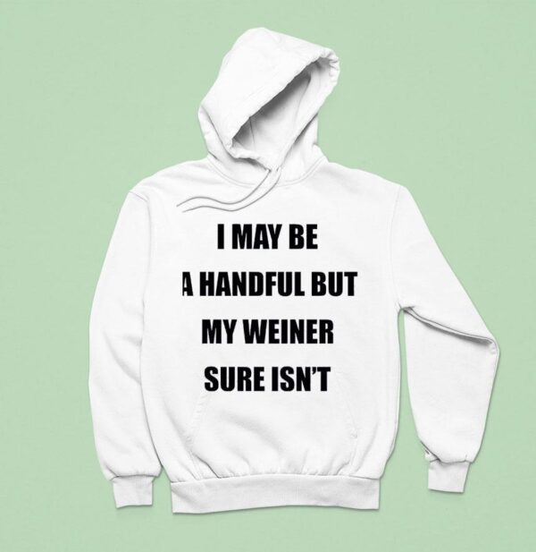 I May Be A Handful But My Weiner Sure Isn Hoodie