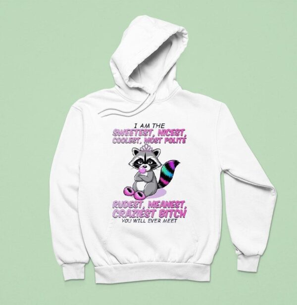 Raccoon I Am The Sweetest Nicest Coolest Most Polite Rudest Meanest Craziest Btch You Will Ever Mee Hoodie