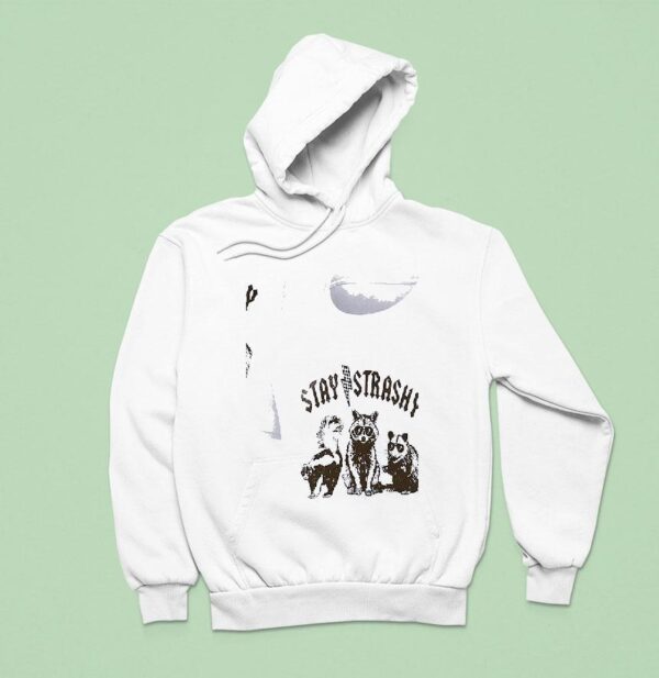 Racoon Stay Strashy Hoodie