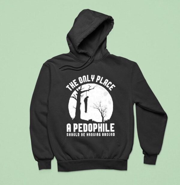 The Only Place A Pedophile Should Be Hanging Around Hoodie