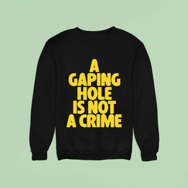 A Gaping Hole Is Not A Crime Sweatshirt