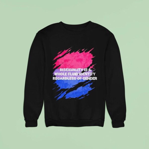 Bisexuality Is A Whole Fluid Identity Regardless Of Gender Sweatshirt