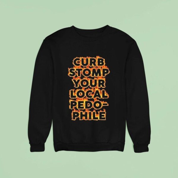 Curb Stomp Your Local Pedo Phile Flames Sweatshirt