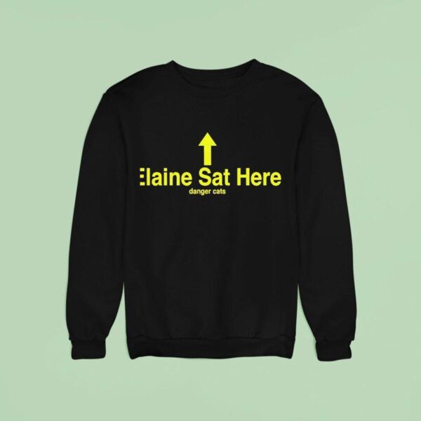 Elaine Sat Here Danger Cats Sweatshirt