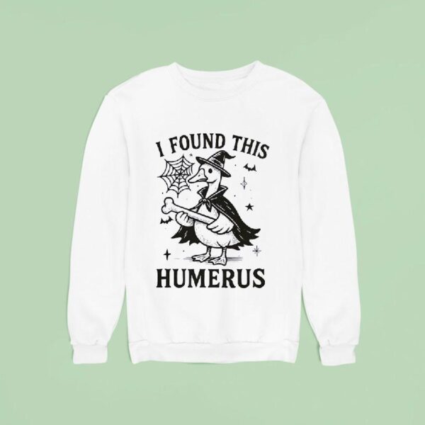 Goose Witch I Found This Humerus Halloween Sweatshirt