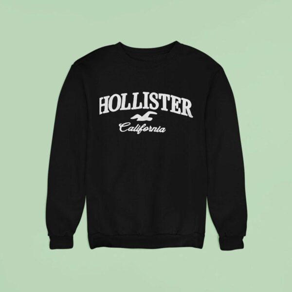 Hollister California Dreamin Sweatshirt