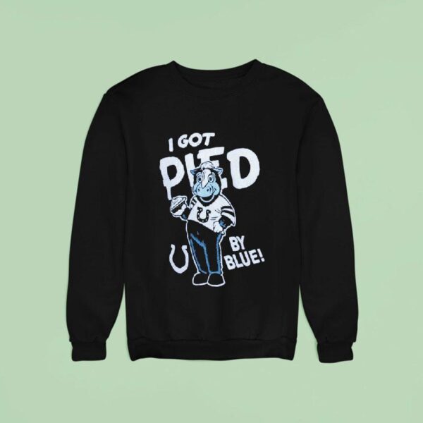 Indianapolis Colts I Got Pied By Blue Masco Sweatshirt