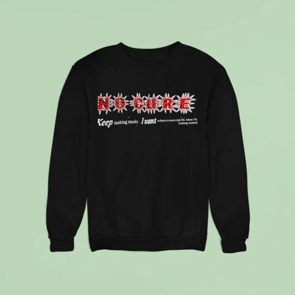 No Cure Keep Making Music I Want To Listen To More Mid Hc When I M Fcking Wasted Sweatshirt