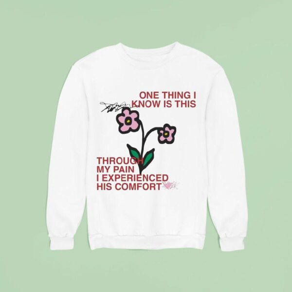 One Thing I Know Is This Through My Pain I Experienced His Comfor Sweatshirt