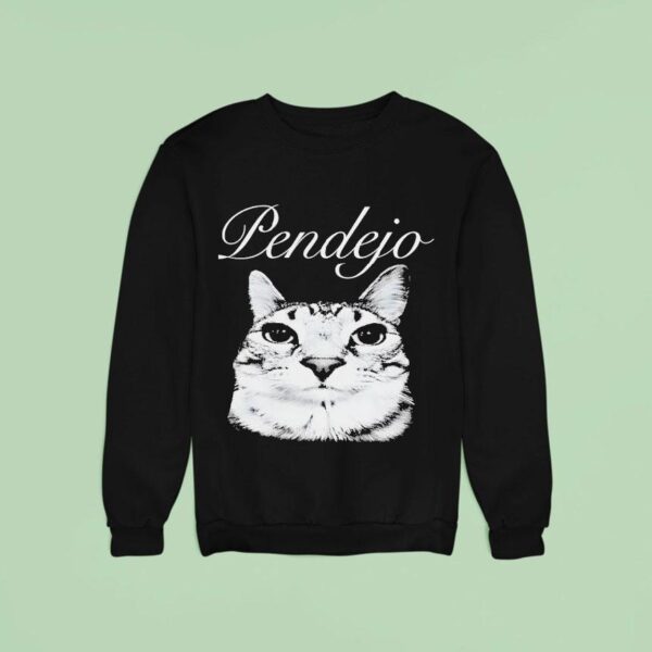 Pendejo Cat Meme Sweatshirt