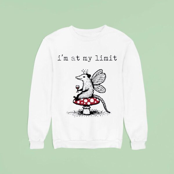 Possum Mushroom I M At My Limi Sweatshirt