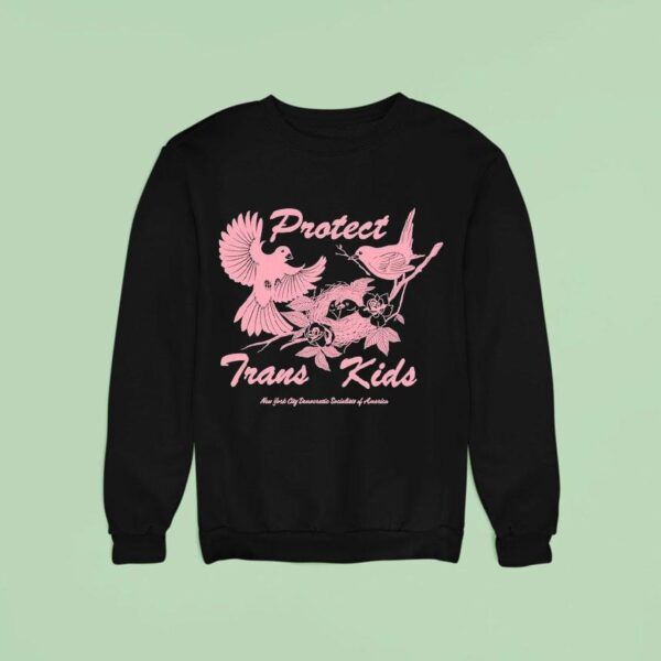 Protect Trans Kids New York City Democratic Socialists Of America Sweatshirt