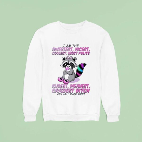 Raccoon I Am The Sweetest Nicest Coolest Most Polite Rudest Meanest Craziest Btch You Will Ever Mee Sweatshirt