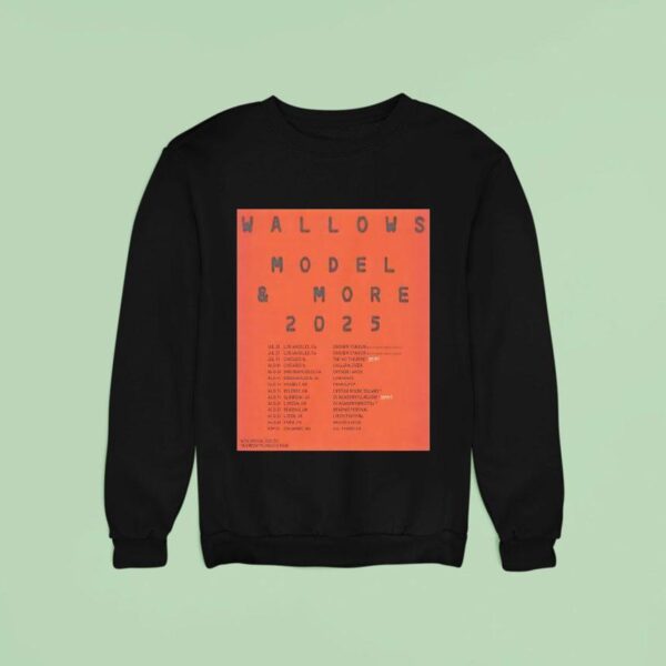 Wallows Model And More Tour Sweatshirt